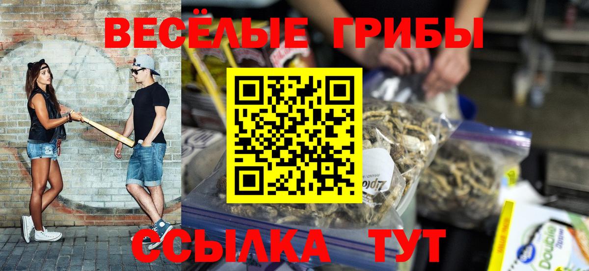 Галлюциногенные грибы мухоморы  Вход с VPN  Тобольск  Галлюциногенные грибы Psilocybe 